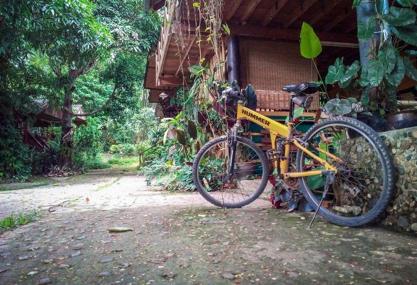 Hotel Misty View Guesthouse 2