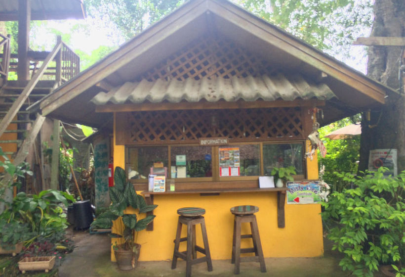 Hotel Misty View Guesthouse 3