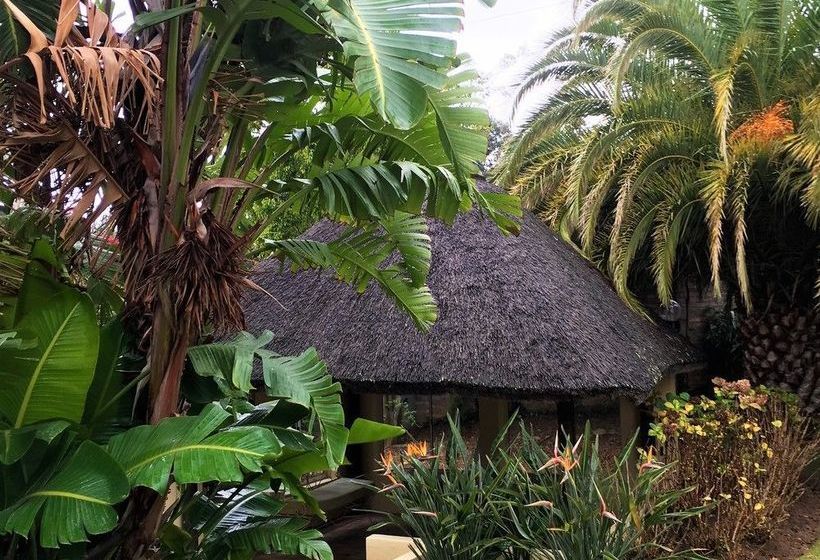 Bed and Breakfast Maison Dbosch 13