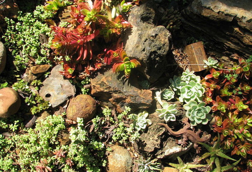 Pension The Village In Hatfield 14