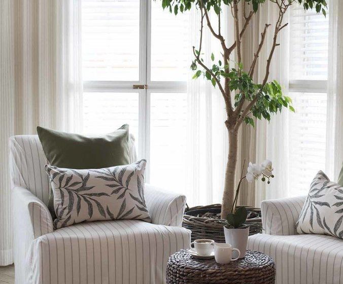 Pensión Thornton Gap Guesthouse 15