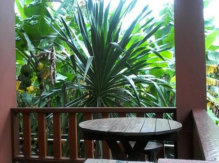 Pension Bantham Hill Homestay 17