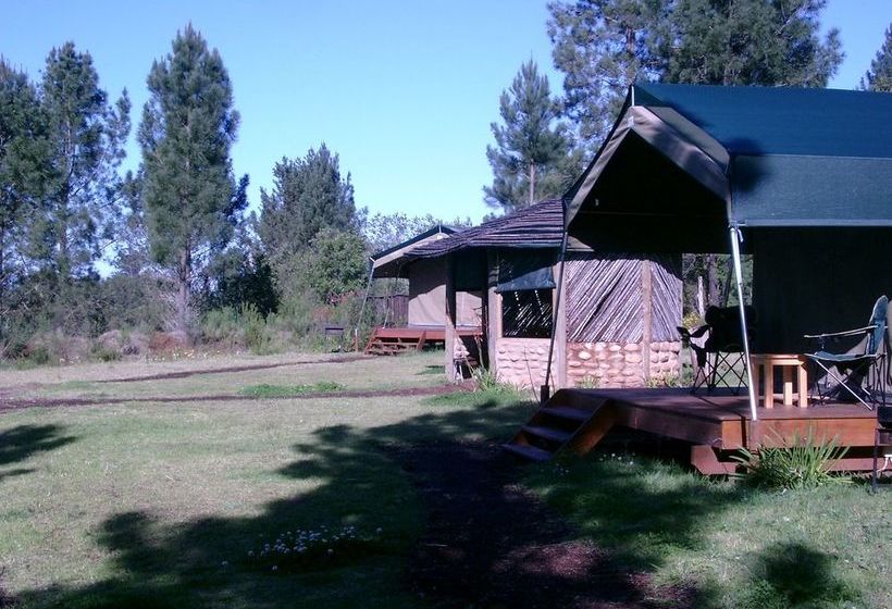 Hotel Homtini Guest Farm 2