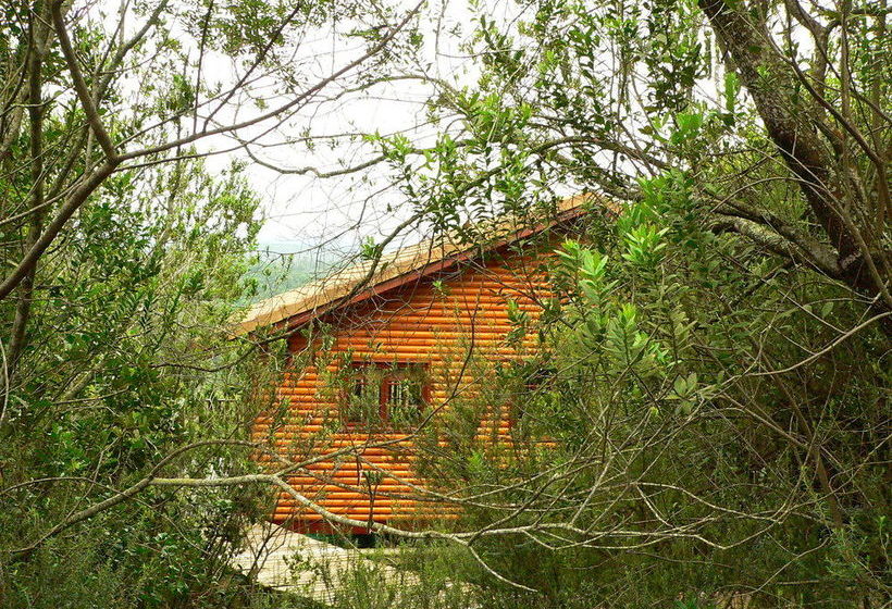 Hotel Homtini Guest Farm 5