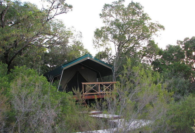 Hotel Homtini Guest Farm 8