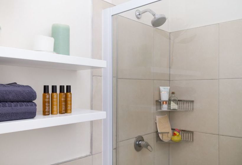 Quiver Tree Self Catering Apartments 14