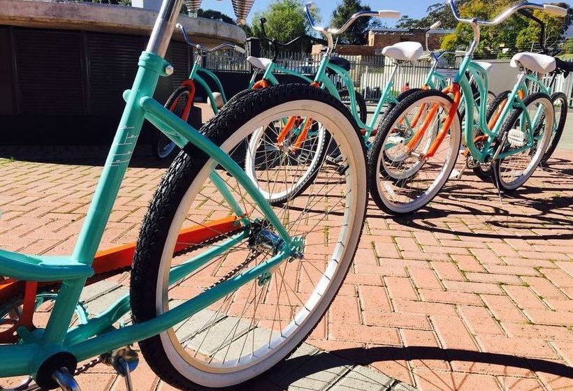 Quiver Tree Self Catering Apartments 16