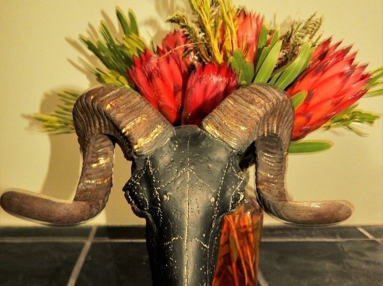 Maison D'bosch @ Simonsplein 2