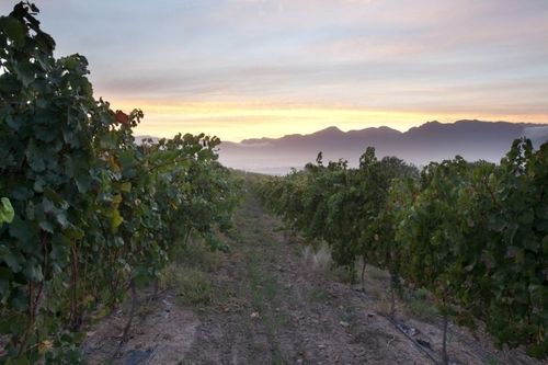 Bed and Breakfast Under Oaks 4