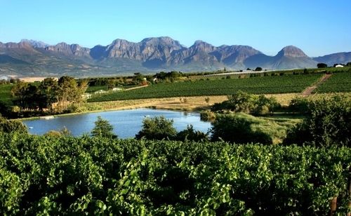 Bed and Breakfast Under Oaks 9