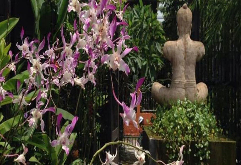 Pension Artist Place Trat 20