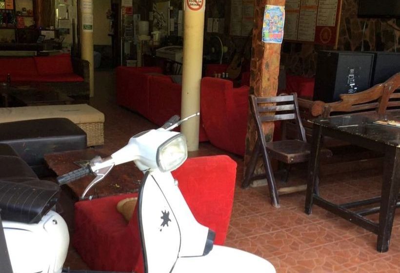 Hostel Lazy House Shenanigans 2