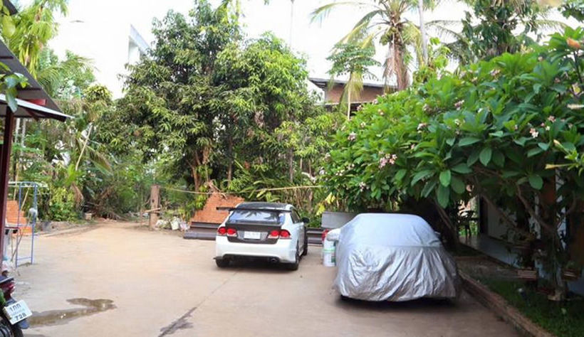 Pension Palm House 14