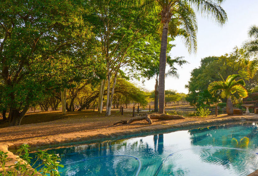 Pension Klaserie River Safari Lodge 5