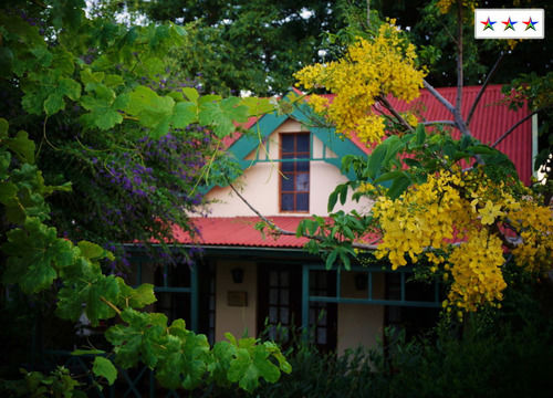 Petal Faire Cottage 2