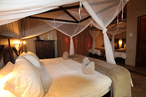 Hotel Thornhill Safari Lodge 5