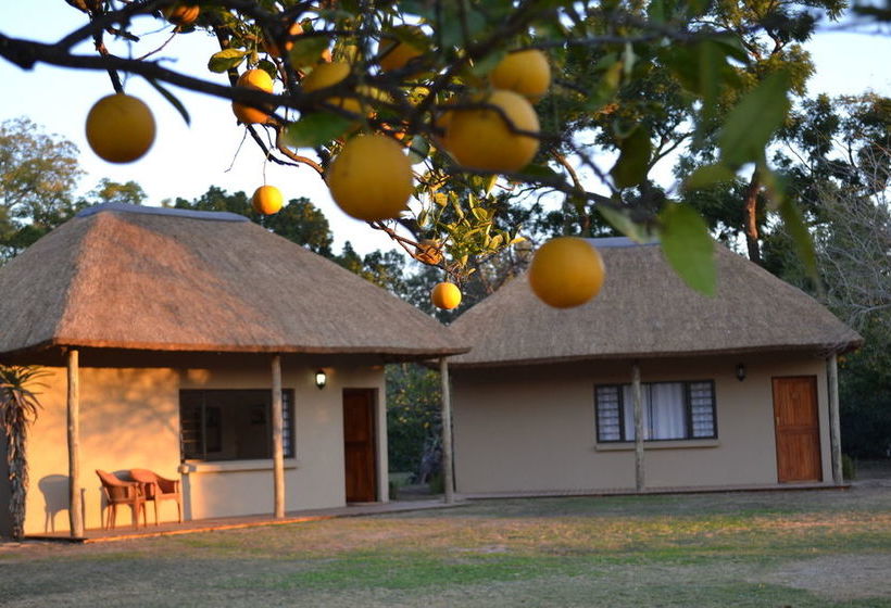 Hotel Chrislin African Lodge 8
