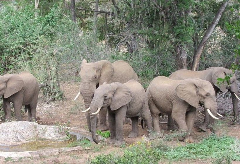 Hotel Baluleni Safari Lodge 12