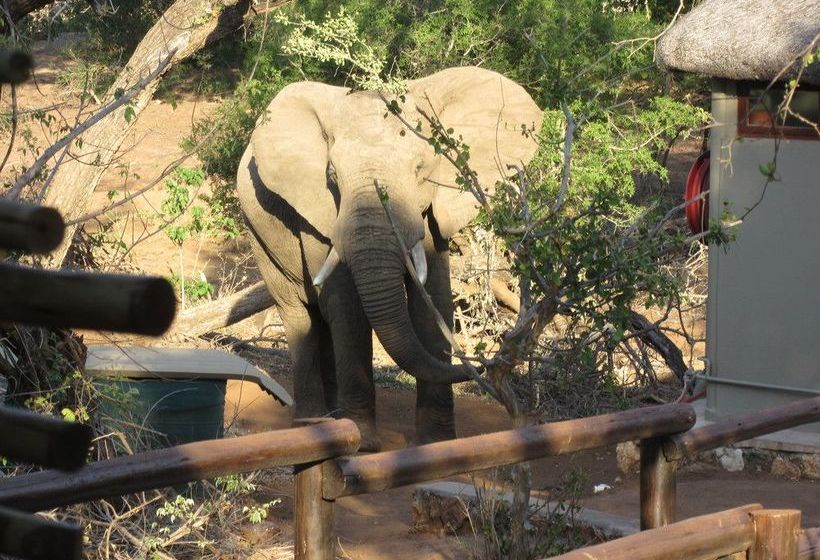 Hotel Baluleni Safari Lodge 15