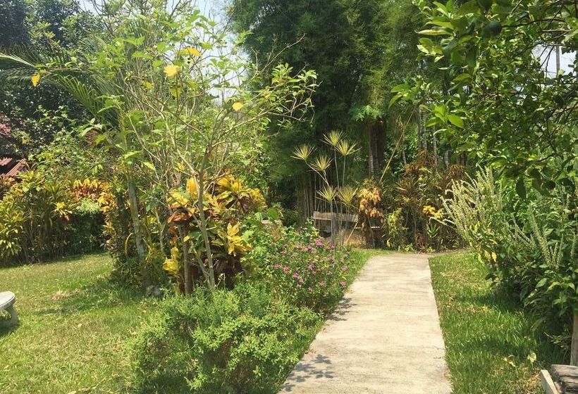 Hotel Rom Thai Guesthouse 11