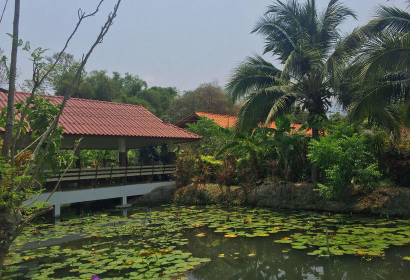 Hotel Rom Thai Guesthouse 18