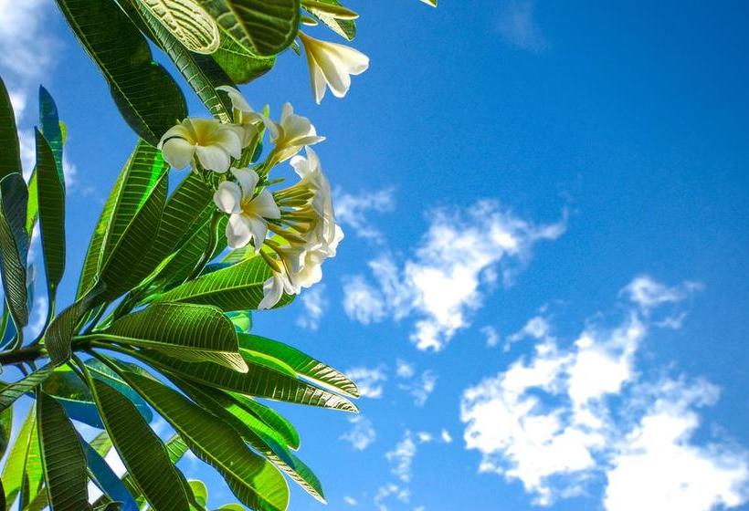 Bed and Breakfast Nid's Bungalows 14