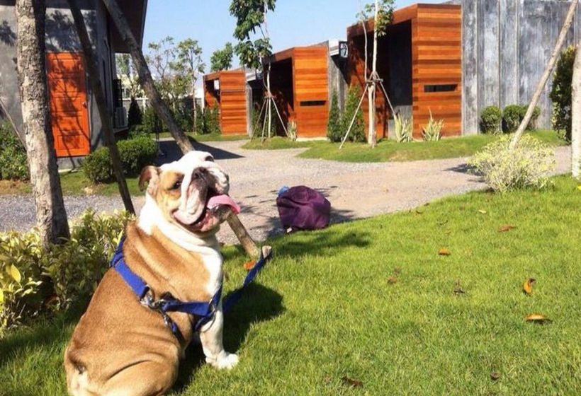 Hotel The Infinite Resort Nakhon Sawan 13