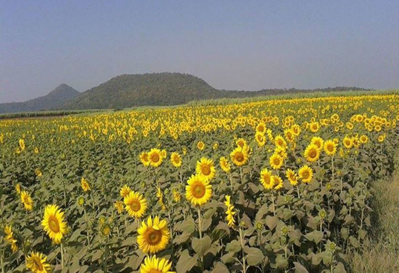 Hotel The Infinite Resort Nakhon Sawan 19