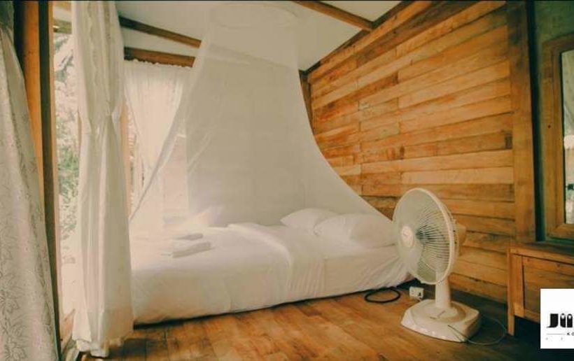 Hotel Jungle Koh Kood Resort 15