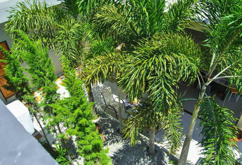 Pension Sarin Guesthouse 20