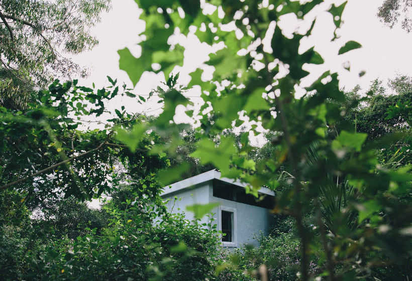 Pension L'auberge Country Hideaway 16