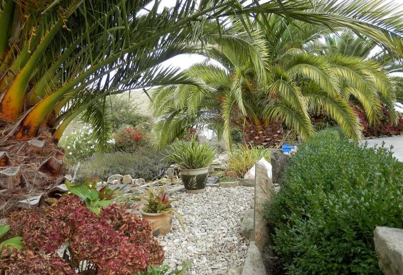 Dhomestay Bed And Breakfast 11