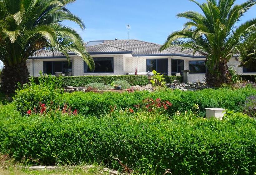 Dhomestay Bed And Breakfast 15