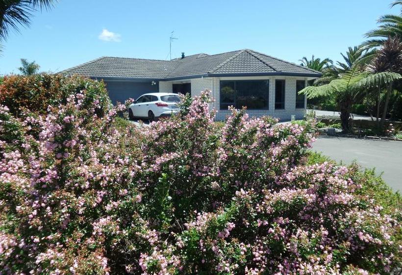 Dhomestay Bed And Breakfast 4