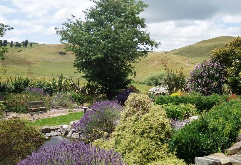 Dhomestay Bed And Breakfast 5