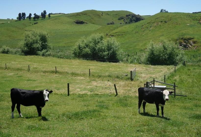 Dhomestay Bed And Breakfast 6