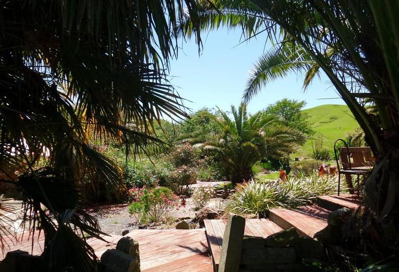 Dhomestay Bed And Breakfast 8