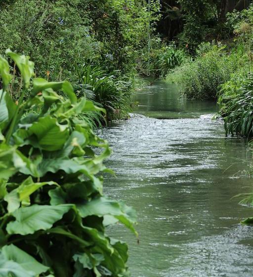 Bed and Breakfast Bonniebrook 11