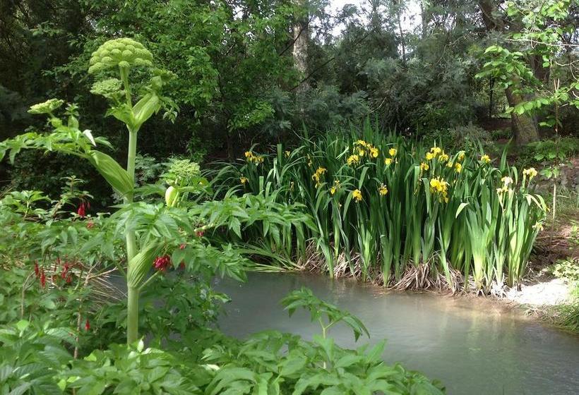 Bed and Breakfast Bonniebrook 8