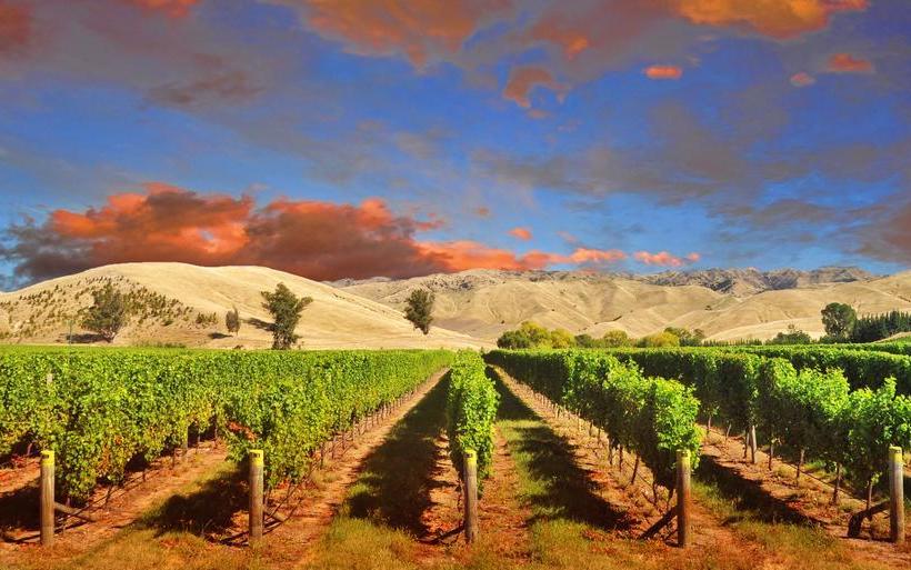 Woodbourne Tavern & Motel 6