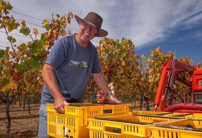 Bed and Breakfast Straw Lodge Vineyard And Boutique Lodging 20