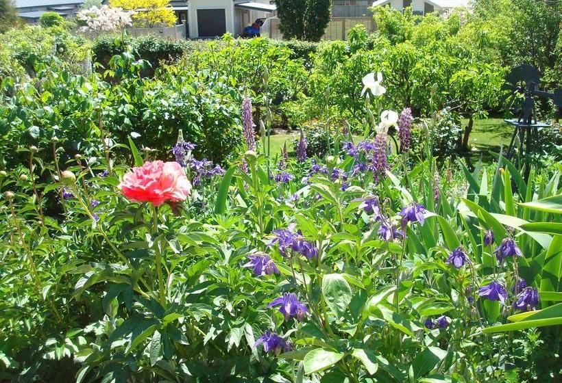 Olde Mill House B&b & Bike2wine Cycle Hire 16