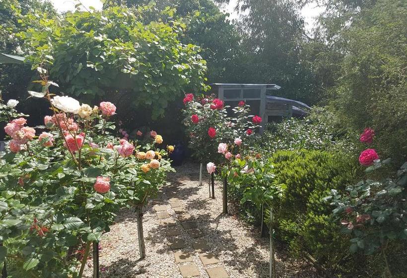 Olde Mill House B&b & Bike2wine Cycle Hire 3