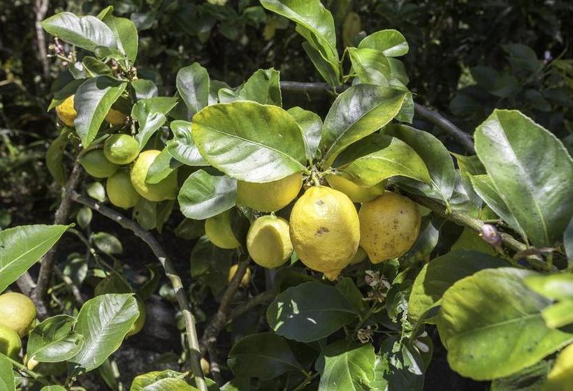 Bed and Breakfast Buffalo Lodge 10