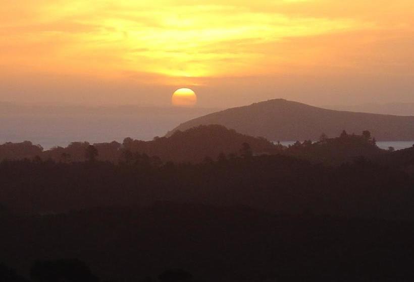 Bed and Breakfast Buffalo Lodge 18