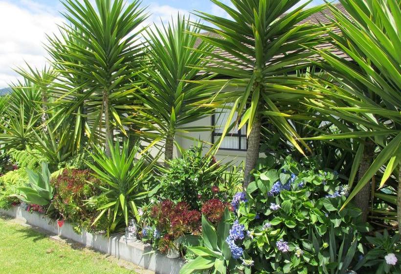 Mangrove Manor Bed & Breakfast 11