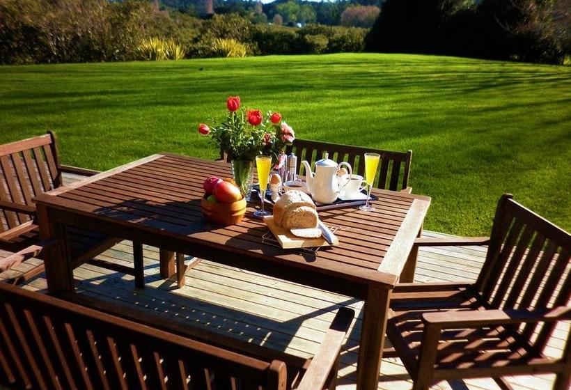 Mangrove Manor Bed & Breakfast 18