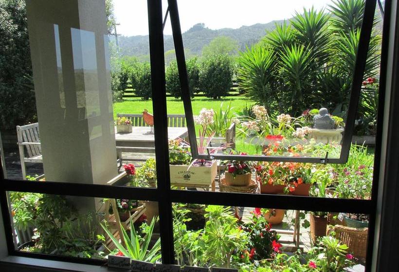 Mangrove Manor Bed & Breakfast 4