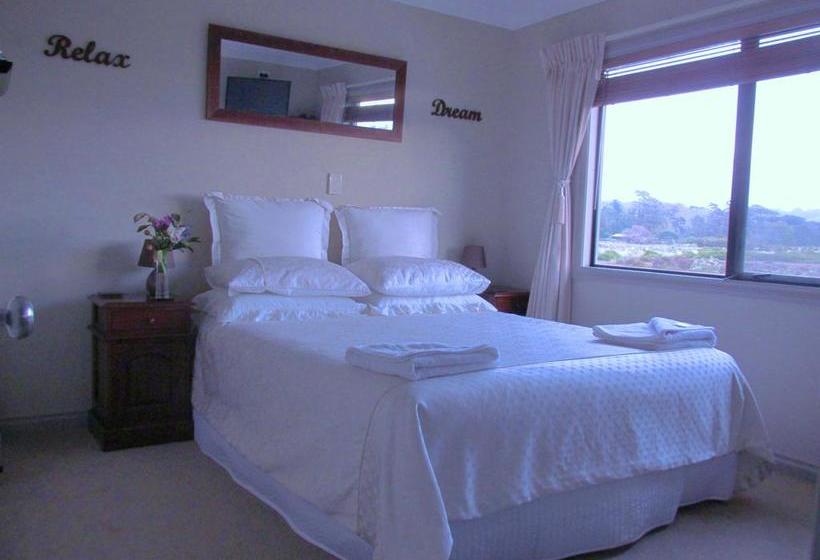 Mangrove Manor Bed & Breakfast 5