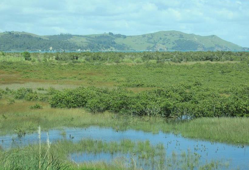 Mangrove Manor Bed & Breakfast 6